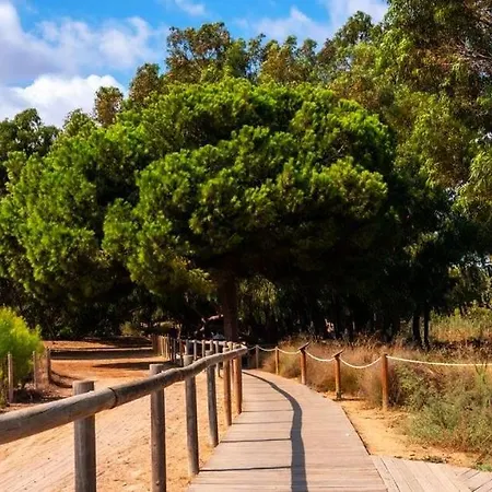 Sunny Time La Mata *